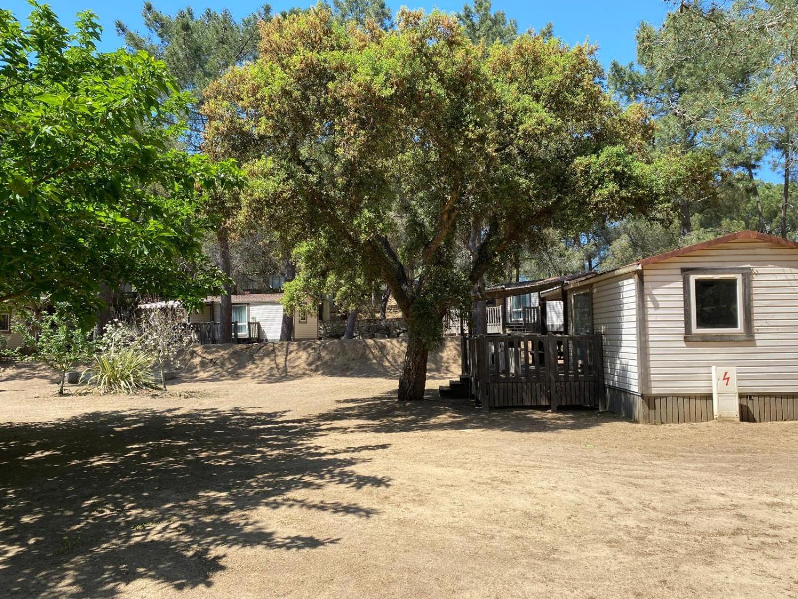 Camping Olva *** Sartène Kültér fotó